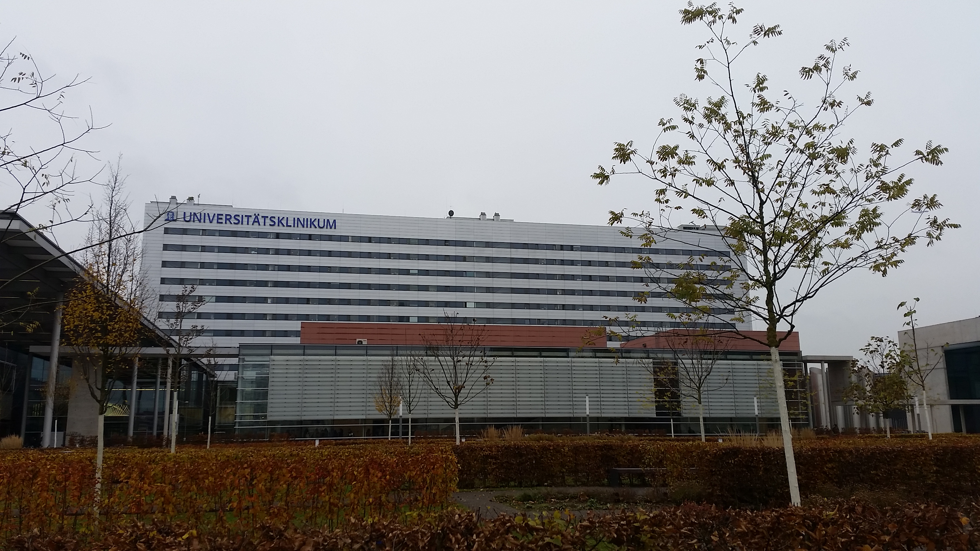 Universitätsklinikum Frankfurt